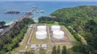 Pengembangan Biodiesel Pengembangan Biodiesel
